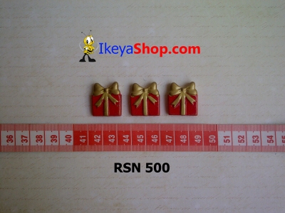 rsn 500  large2